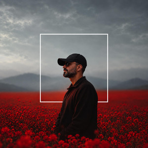 Bira Te by Pala