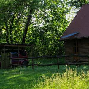 звуки літа