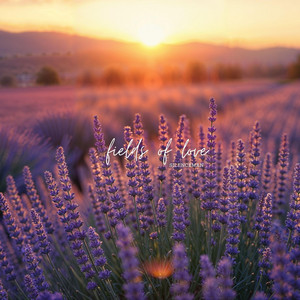 Fields of Love by Silenceman