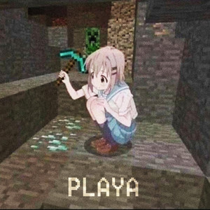 VIIG — PLAYA