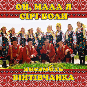 Ой, мала я сірі воли