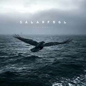 Sálarfugl (Soul Bird) by Steinhald