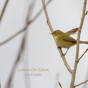 Letters On Linen by Lisa Kriegler