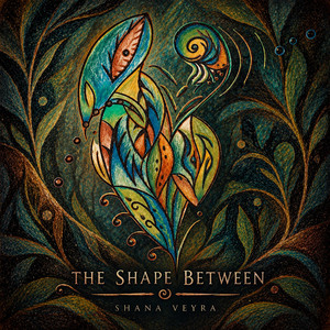 The Shape Between by Shana Veyra