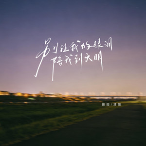 別讓我的眼淚陪我到天明（DJ沈念版） by 田园, 清唯