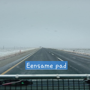 Eensame pad by Trucker Gert