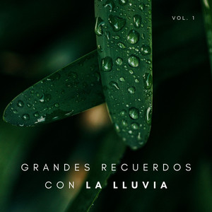 Grandes Recuerdos Con La Lluvia Vol. 1 album
