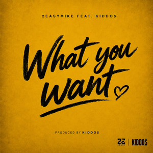 What You Want by 2easymike, KIDDO$