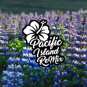 Pacific Island Remix - Ratnezz (NE Sector O2)