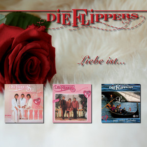 Goodbye My Love, Goodbye by Die Flippers