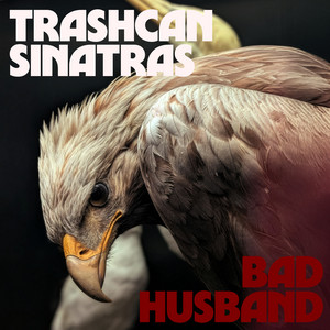 Hayfever - song and lyrics by Trashcan Sinatras | Spotify