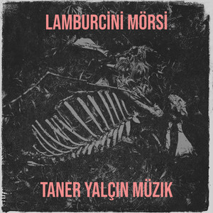 Taner Yalçın Müzik - Lamburcini Mörsi