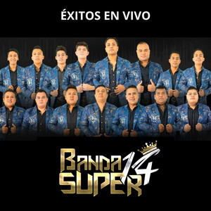 Éxitos en Vivo