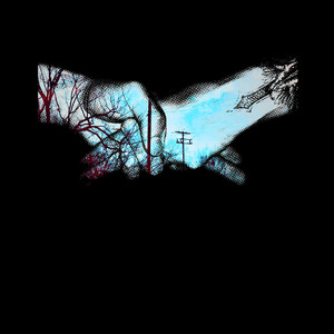 The Mollusks - Naunet