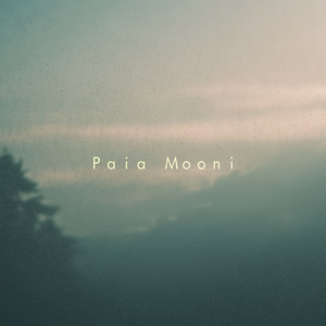 Rainy Reflection by Paia Mooni