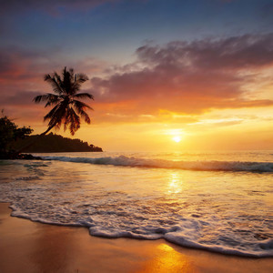 Jamaican Nights by aika