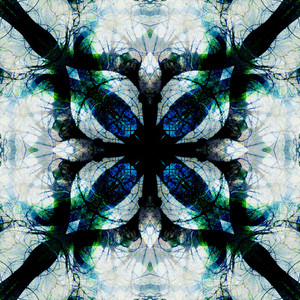 Audio Trip Into the Rainforest