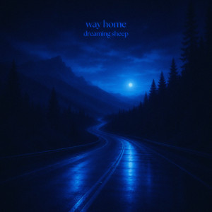way home by dreaming sheep