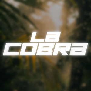 DJ Franck - La Cobra