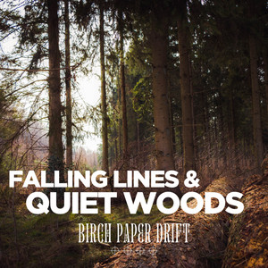 Quiet Sketch by Birch Paper Drift