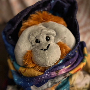 MC Bananaz - Bananaz Duwde