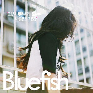 다신 못보게 되는 사람인가봐 - Instrumental by Bluefish