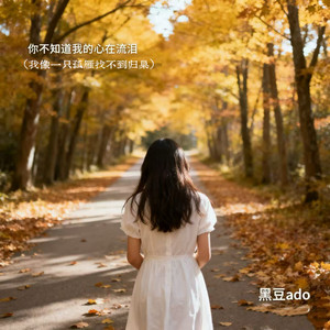 心碎的声音（怪自己始终忘不了你） - song and lyrics by 黑豆ado