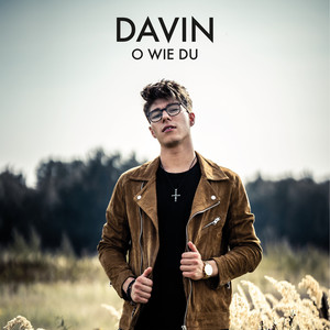 DAVIN poster