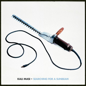 Searching for a Sunbeam by Kali Masi