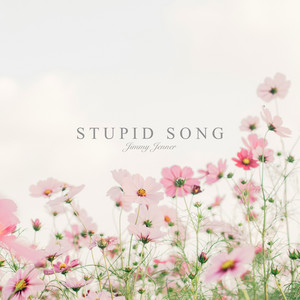 stupid song by Jimmy Jenner