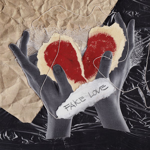 FAKE LOVE by Daybe