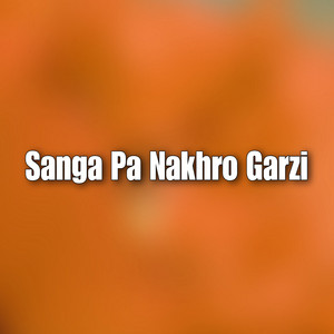 Aqib Ayaz - Sanga Pa Nakhro Garzi