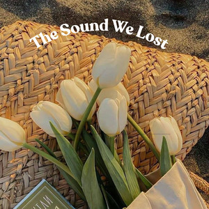 Sea South - The Sound We Lost