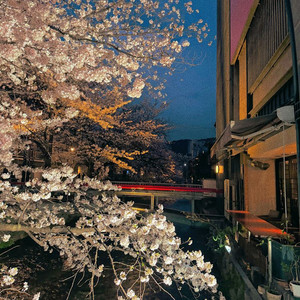 kyoto by brady