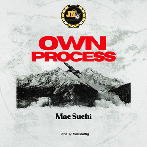 Own Process by Mac Suchi