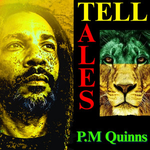 Counsel of the Elderman by P.M Quinns