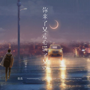 你来了又走心满了又空 by 张良