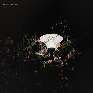 Night Garden by Prithvi, Monocloud, Mondo Loops