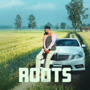 PUNJAB by Rajveer Shergill