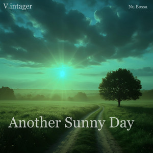 Another Sunny Day