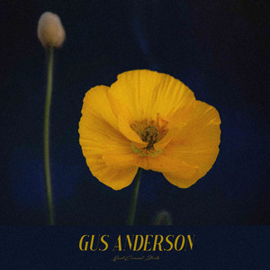Quiet Carnival Streets by Gus Anderson