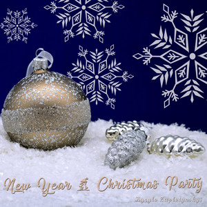 Kyrylo Zaplotynskyi — New Year & Christmas Party