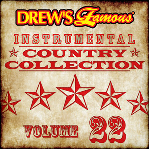 Drew's Famous Instrumental Country Collection (Vol. 22) album