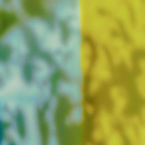Corcle