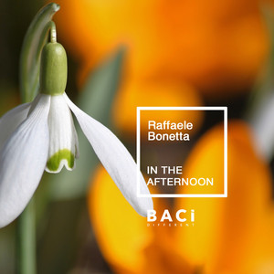 Raffaele Bonetta - In The Afternoon