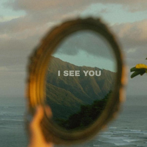 I See You by Titus Haskins