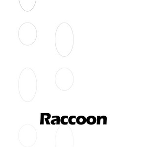 Raccoon by Fried Banana Shop