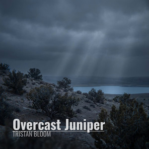 Overcast Juniper by Tristan Bloom
