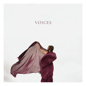 Voices In The Cold by Madeliene Cope