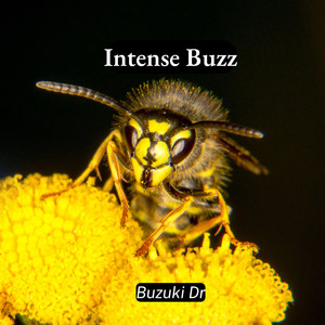 Intense Buzz by Buzuki Dr